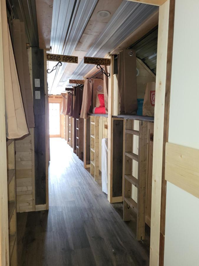 The Orchard Hostel Radium Hot Springs Exterior photo